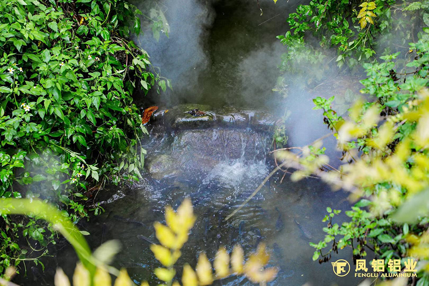 1617760567383348.jpg 5.jpg